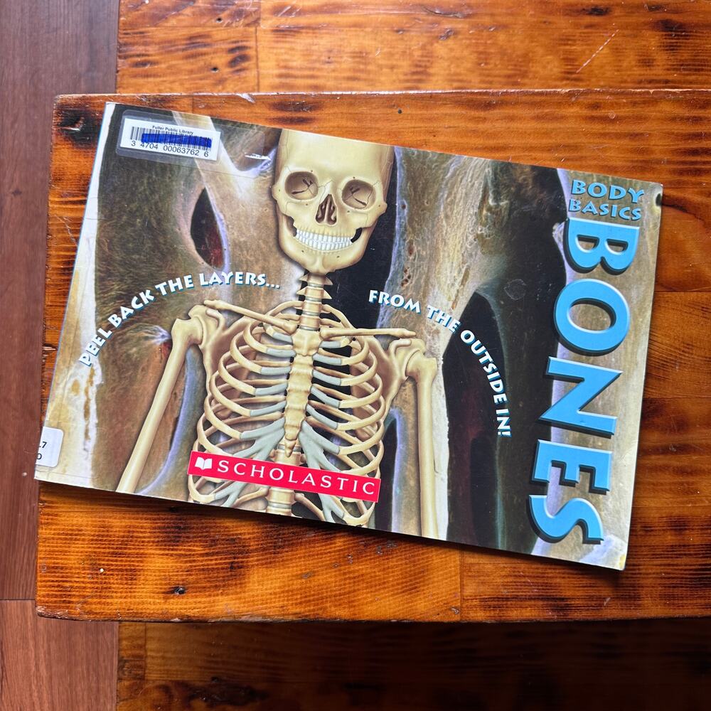 Body Basic Bones Peel Back The Layers From The Outside In Paperback Book